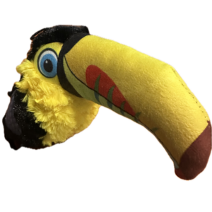 ruffian toucan