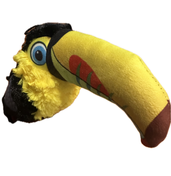 ruffian toucan